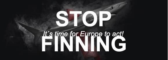 stop finning