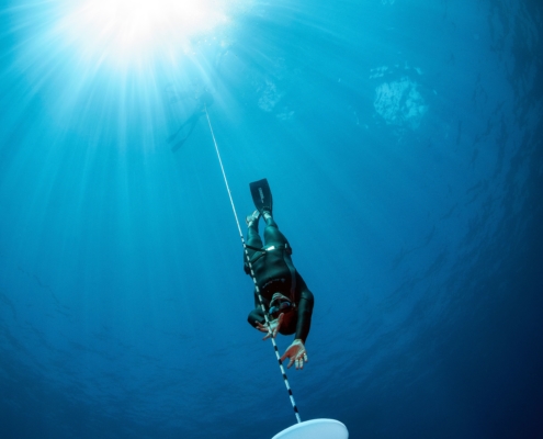 freediver venice