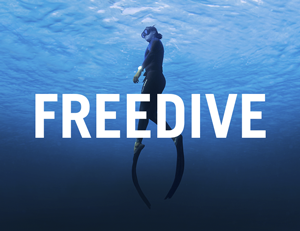 freediving venezia venice venedig