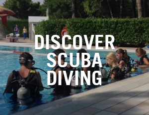 discover scuba diving venice