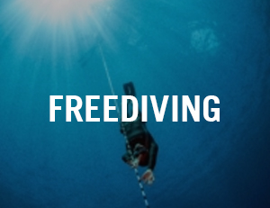 freediving venice