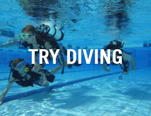 try diving venice